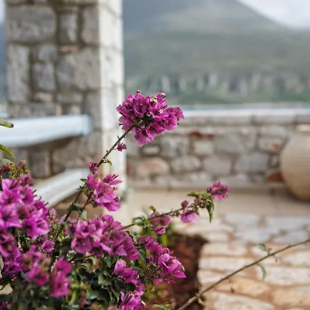 Junior Apartment Areopoli